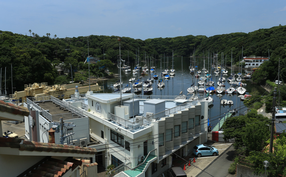 高所から見る油壺湾