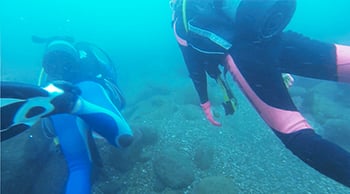 Scuba Diving