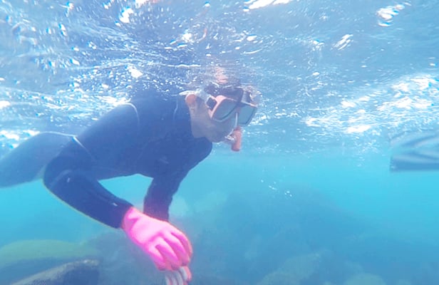 Snorkeling