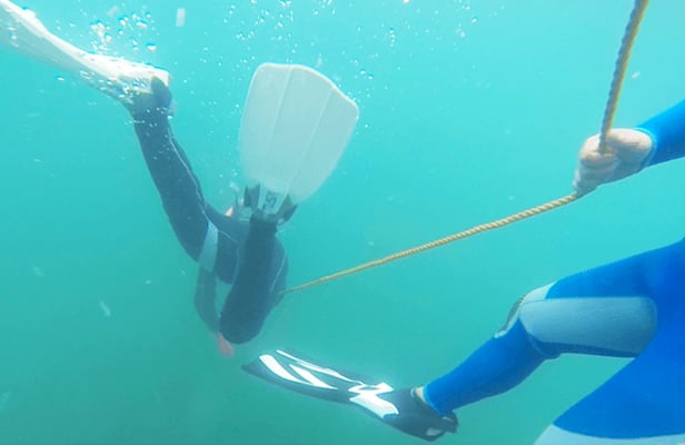 Snorkeling