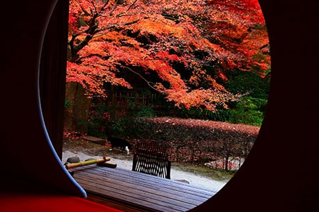 Meigetsuin