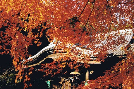 吾Azumayama Park