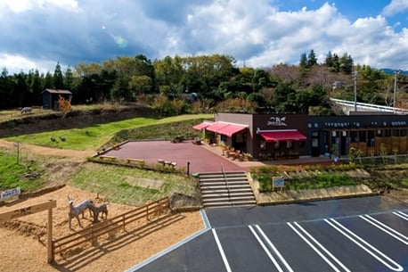 Toshi YoroizukaFarm