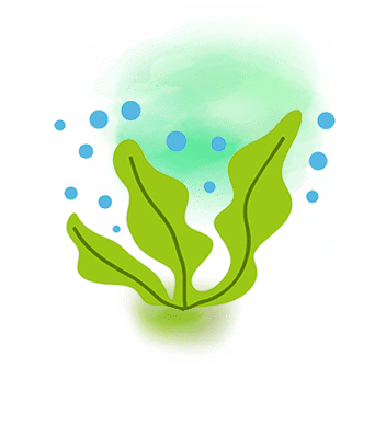 ワカメイラスト