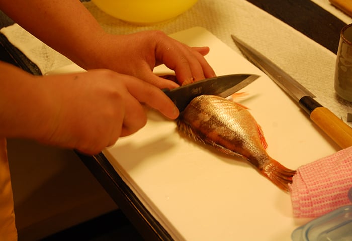 冬が旬!お料理体験レポート