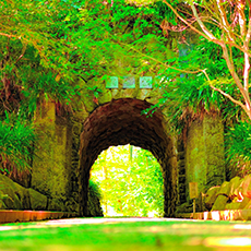 Sarushima Island (Monkey Island)