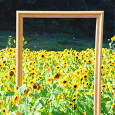 Kurihama Flower Park