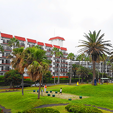 Zushi Marina