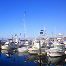 Zushi Marina