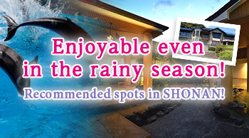 Enjoyable spots even in the rainy season!
