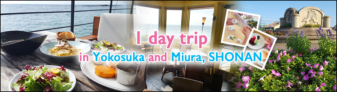 SHONAN 1 DAY TRIP