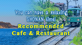 Resort Hotel Condominium Special
