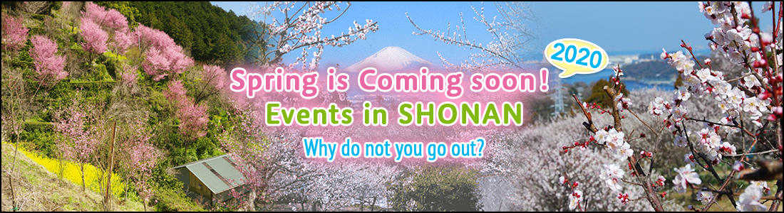 夏のSHONANイベント 2019