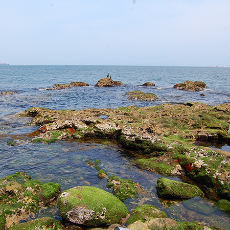 seaside