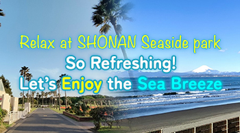 Relax at SHONAN Seaside park ~ So Refreshing! Let’s Enjoy the Sea Breeze ~