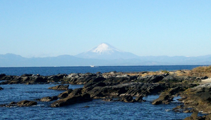 佐島マリーナ
