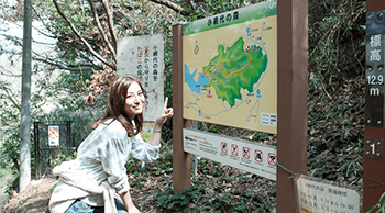小網代の森
