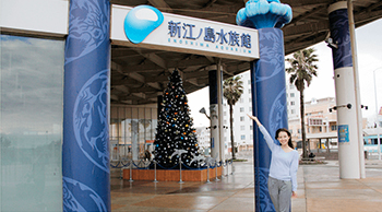 新江ノ島水族館