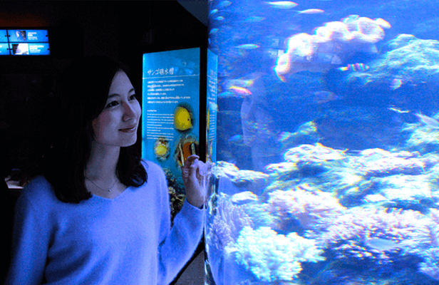 深海調査船深海2000