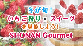 冬が旬！イチゴ狩り×スイーツを堪能しよう！