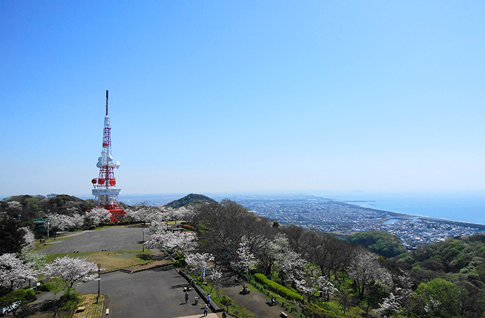 湘南平(高麗山公園)のイメージ
