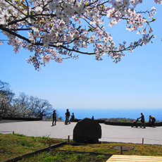 湘南平(高麗山公園)の広場