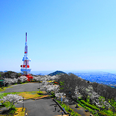 湘南平(高麗山公園)から見る夜景