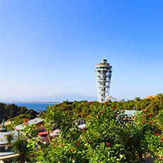 昼遠くから見る江の島シーキャンドル