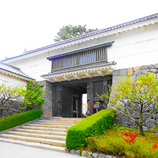 小田原城天守閣の入り口