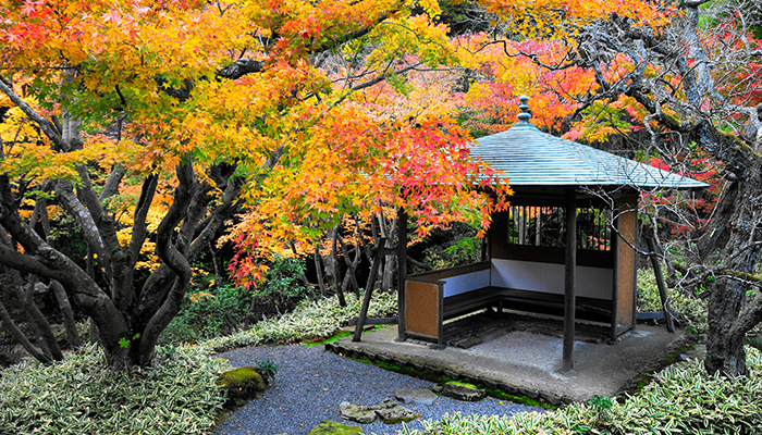 一条恵観山荘の亭