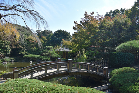 平塚市総合公園