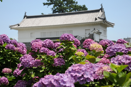 小田原城