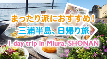 SHONAN 1 DAY TRIP