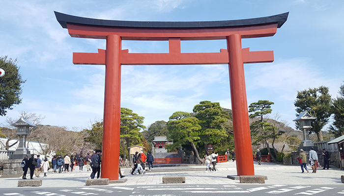 続いて鶴岡八幡宮1:鳥居