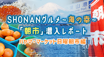 SHONANグルメ～海の幸～「朝市」潜入レポート