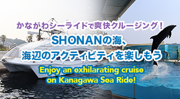 かながわシーライドで爽快クルージング！