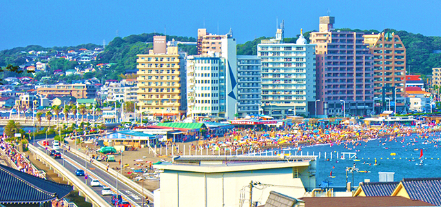 Sightseeing & area information