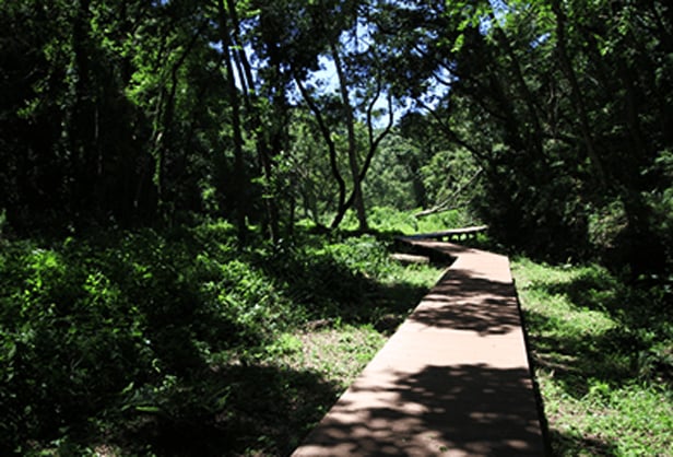 미우라 반도 - 완전히 자연을 즐기는 가족 코스