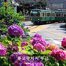 에노덴5