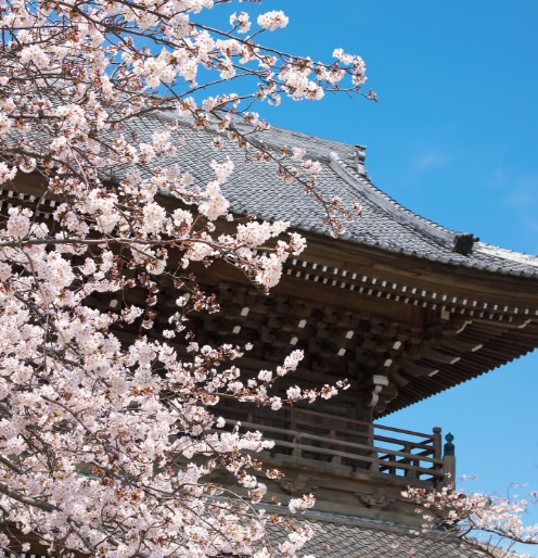 光明寺