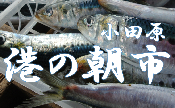 【小田原市】港の朝市（月２回）