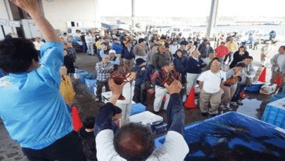 【平塚市】毎月第4金曜日は新鮮な魚が大集合！ひらつかタマ三郎漁港
