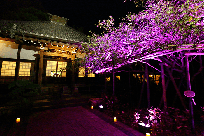 鎌倉市 かまくら長谷の灯かり Event News かながわシープロジェクト Feel Shonan