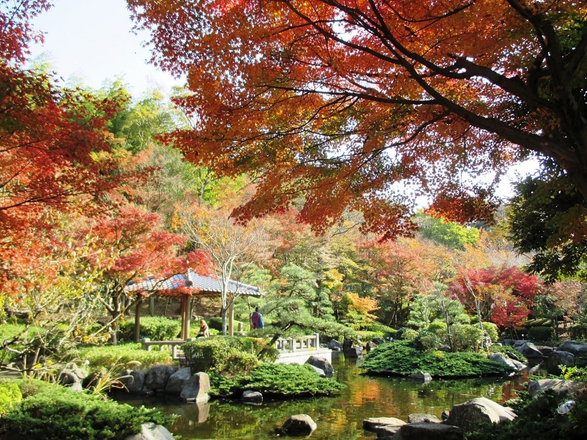県立大磯城山公園 観光 エリア情報 かながわシープロジェクト Feel Shonan