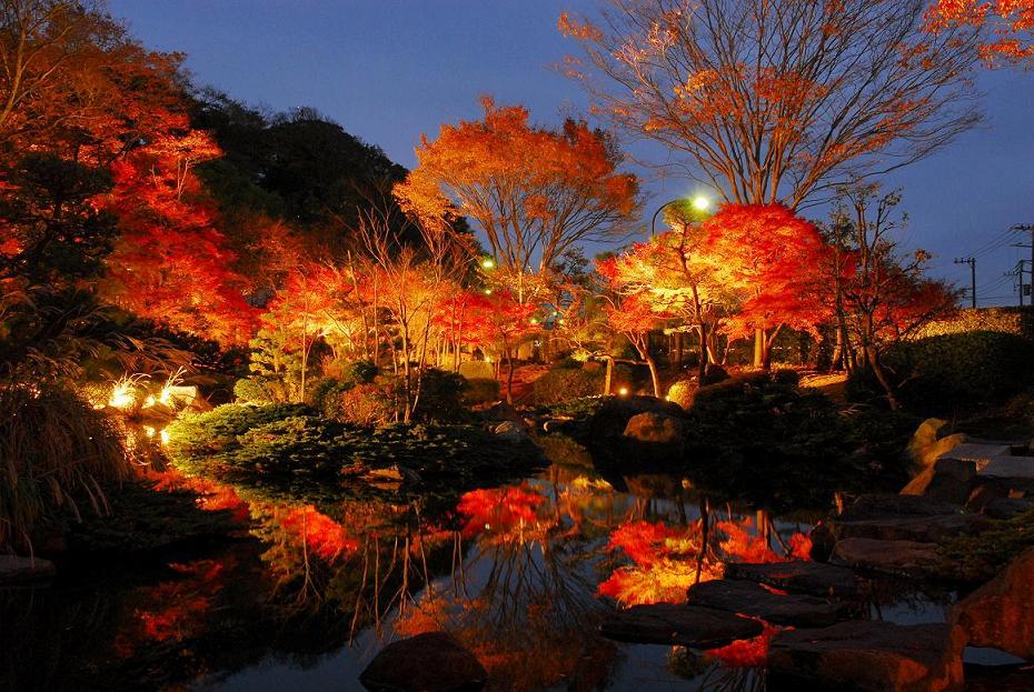 県立大磯城山公園 観光 エリア情報 かながわシープロジェクト Feel Shonan