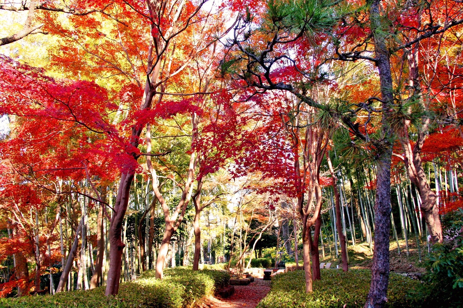県立大磯城山公園 観光 エリア情報 かながわシープロジェクト Feel Shonan