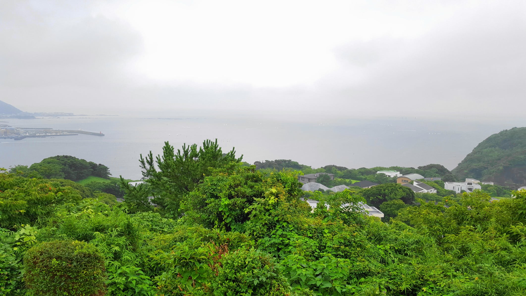 披露山公園