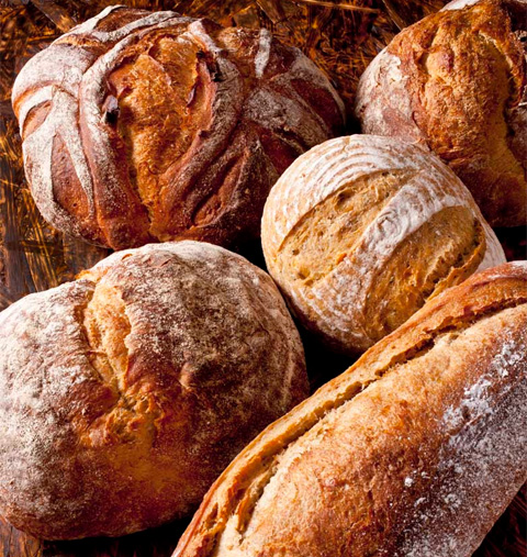 BREAD&CIRCUS