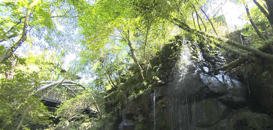万葉公園
