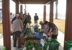 片瀨漁港販賣處